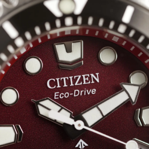 Citizen Promaster Eco Drive Professional Diver's 300m