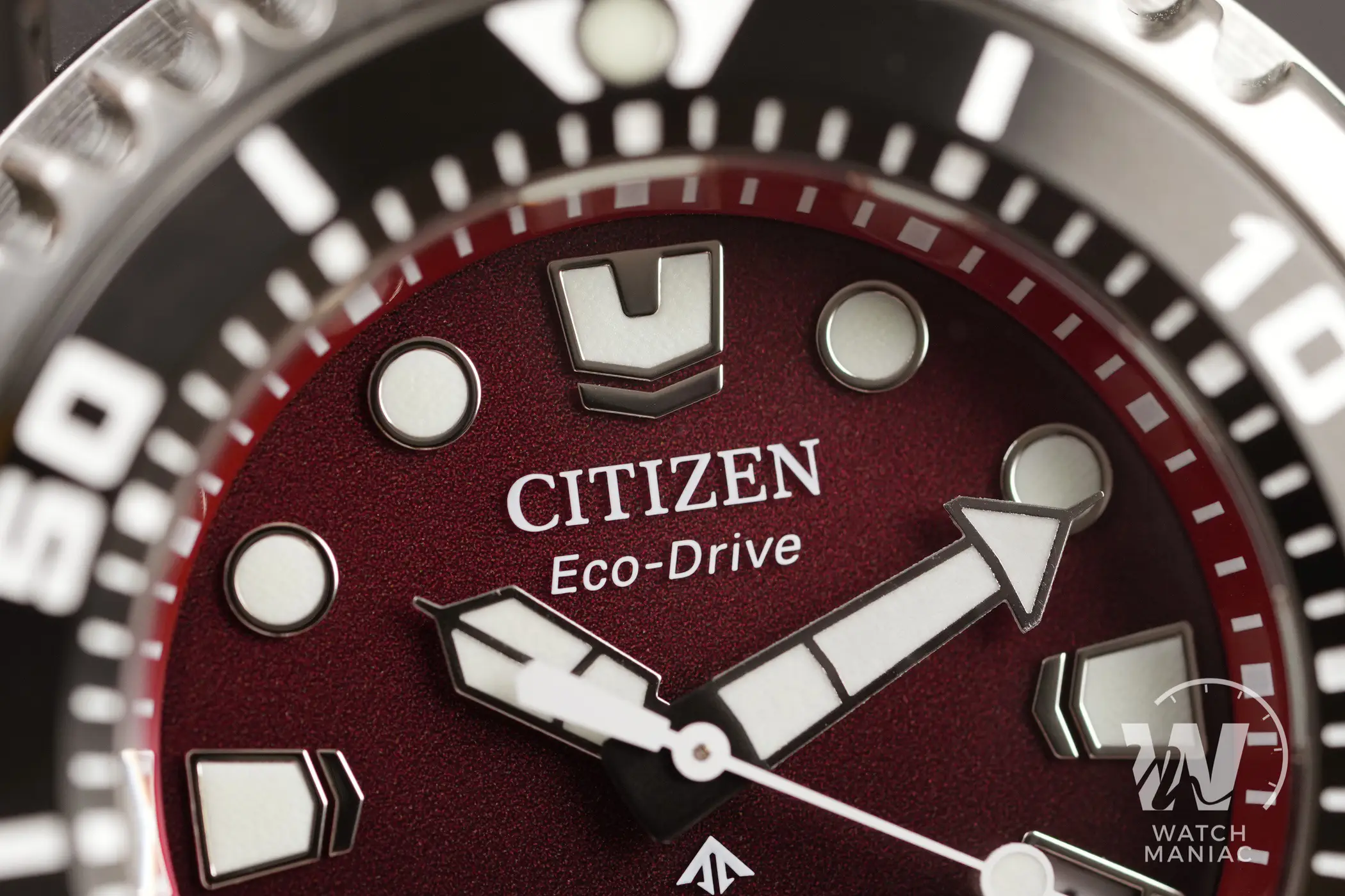 Citizen Promaster Eco Drive Professional Diver's 300m