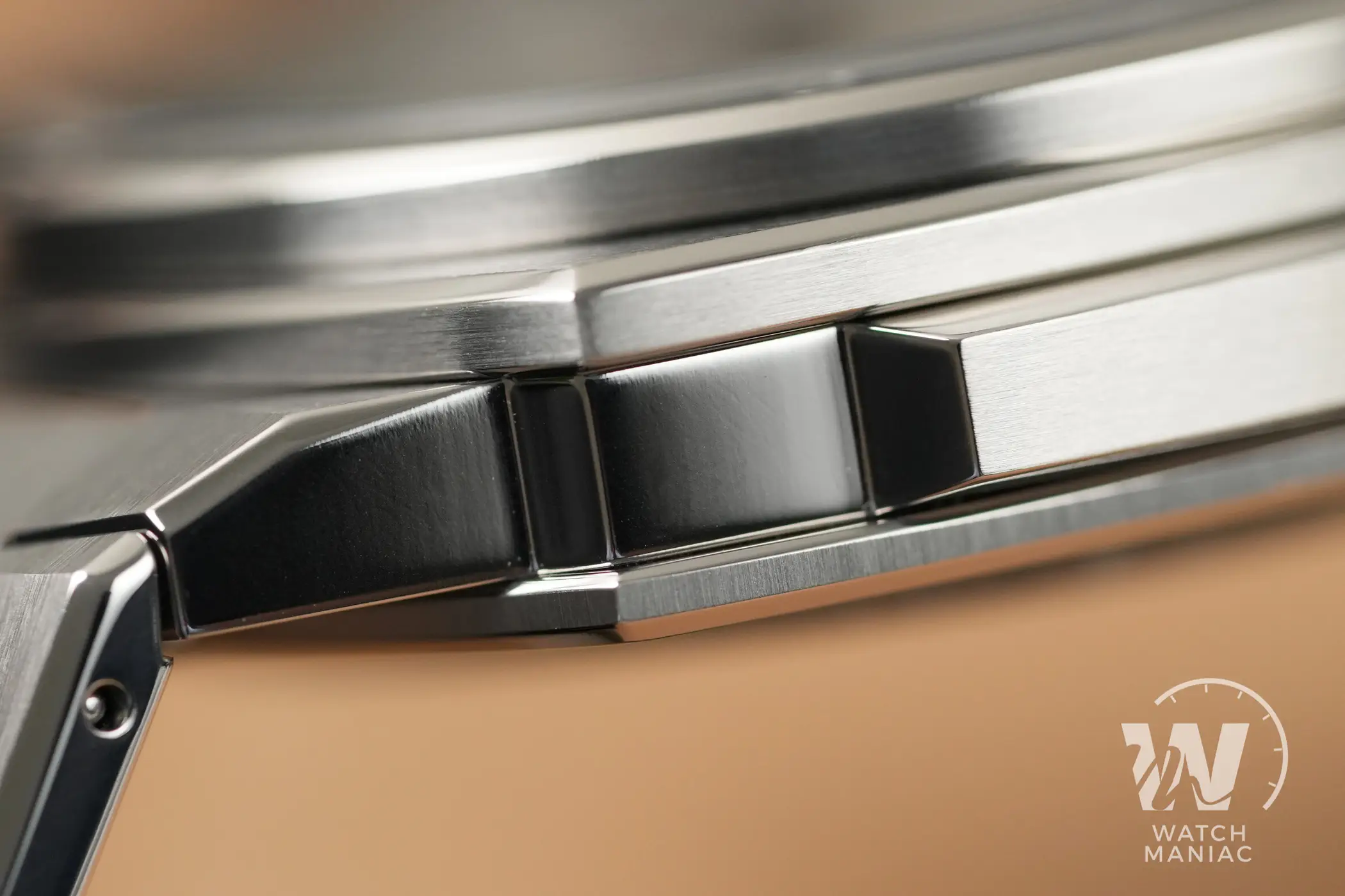 Alpina Alpiner Extreme Titanium